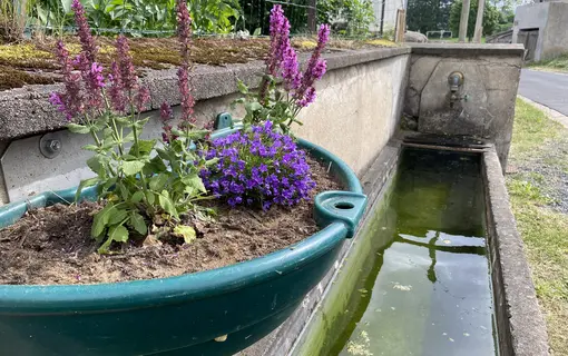 Lavoirs et bacs
